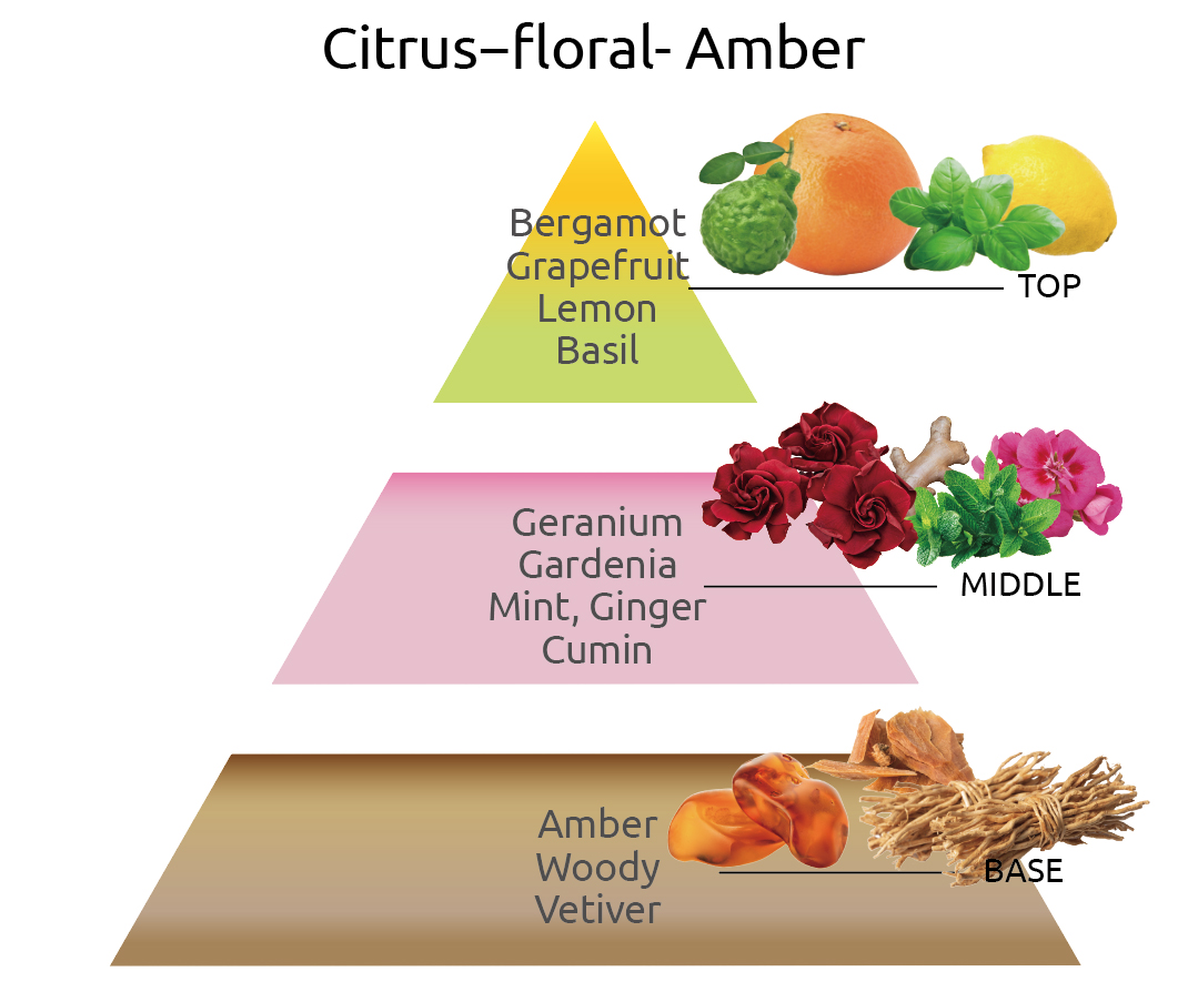 シトラスフローラル、アンバーの香り